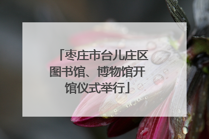 枣庄市台儿庄区图书馆、博物馆开馆仪式举行