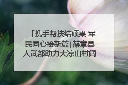 携手帮扶结硕果 军民同心绘新篇∣赫章县人武部助力大凉山村阔步乡村振兴路