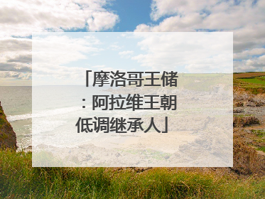 摩洛哥王储：阿拉维王朝低调继承人