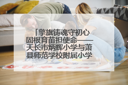 擎旗铸魂守初心 固根育苗担使命——天长市炳辉小学与萧县师范学校附属小学结对共建活动纪实