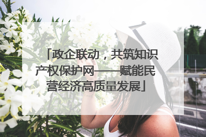 政企联动，共筑知识产权保护网——赋能民营经济高质量发展