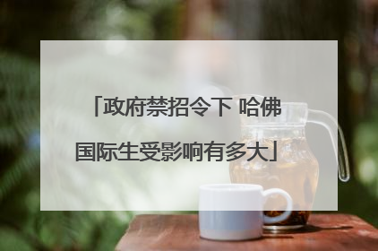政府禁招令下 哈佛国际生受影响有多大