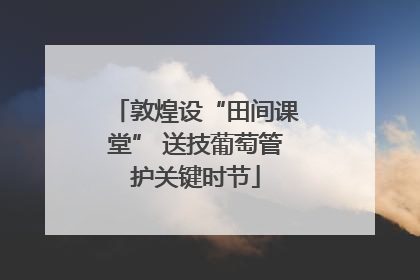 敦煌设“田间课堂” 送技葡萄管护关键时节