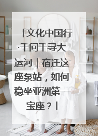文化中国行·千问千寻大运河｜宿迁这座泵站，如何稳坐亚洲第一宝座？