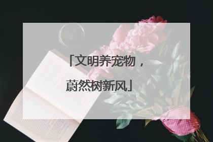 文明养宠物,蔚然树新风