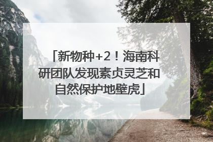 新物种+2！海南科研团队发现素贞灵芝和自然保护地壁虎