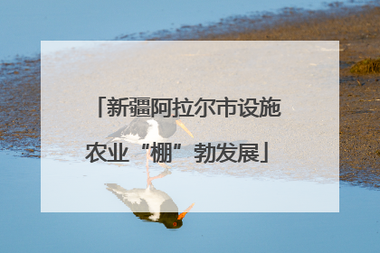新疆阿拉尔市设施农业“棚”勃发展