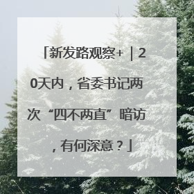 新发路观察+｜20天内，省委书记两次“四不两直”暗访，有何深意？