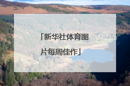 新华社体育图片每周佳作