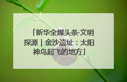 新华全媒头条·文明探源｜金沙遗址：太阳神鸟起飞的地方