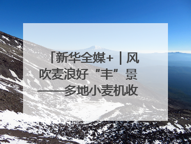 新华全媒+｜风吹麦浪好“丰”景——多地小麦机收一线见闻