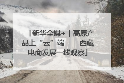 新华全媒+｜高原产品上“云”端——西藏电商发展一线观察