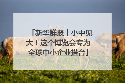 新华鲜报丨小中见大！这个博览会专为全球中小企业搭台