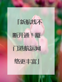 新航线不断开通！厦门港航运网络更丰富