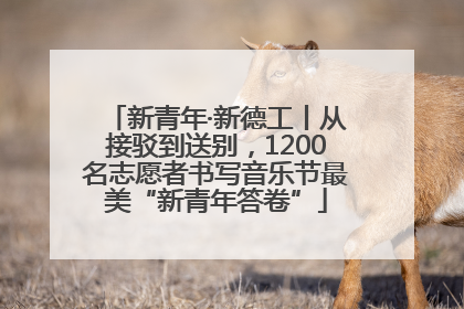 新青年·新德工丨从接驳到送别，1200名志愿者书写音乐节最美“新青年答卷”