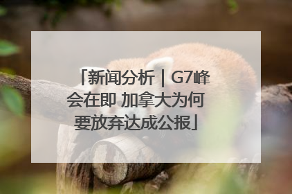 新闻分析｜G7峰会在即 加拿大为何要放弃达成公报