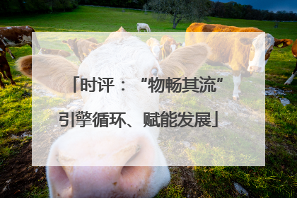 时评：“物畅其流”引擎循环、赋能发展