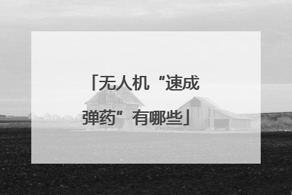 无人机“速成弹药”有哪些