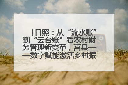 日照：从“流水账”到“云台账”看农村财务管理新变革，莒县——数字赋能激活乡村振兴“一池春水”