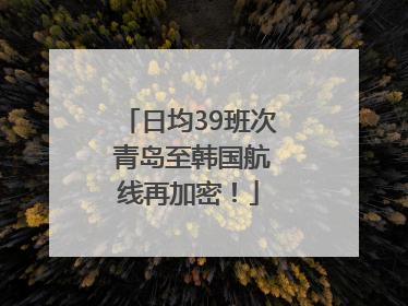 日均39班次 青岛至韩国航线再加密！