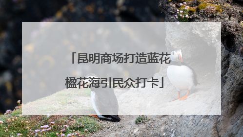 昆明商场打造蓝花楹花海引民众打卡