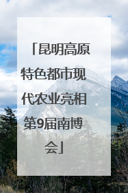 昆明高原特色都市现代农业亮相第9届南博会