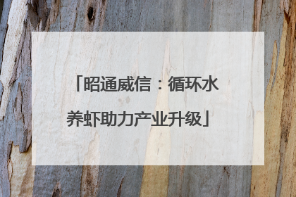 昭通威信：循环水养虾助力产业升级
