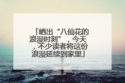 晒出“八仙花的浪漫时刻”，今天，不少读者将这份浪漫延续到家里