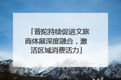 普陀持续促进文旅商体展深度融合，激活区域消费活力
