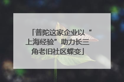 普陀这家企业以“上海经验”助力长三角老旧社区蝶变