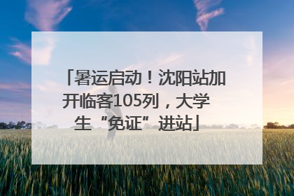 暑运启动！沈阳站加开临客105列，大学生“免证”进站