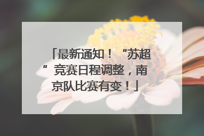 最新通知！“苏超”竞赛日程调整，南京队比赛有变！