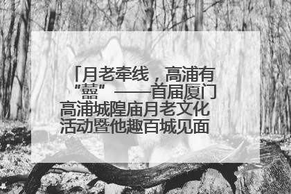 月老牵线，高浦有“囍”——首届厦门高浦城隍庙月老文化活动暨他趣百城见面会隆重举办