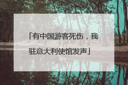 有中国游客死伤，我驻意大利使馆发声