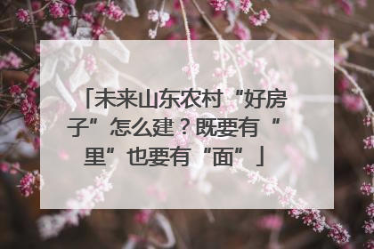 未来山东农村“好房子”怎么建？既要有“里”也要有“面”