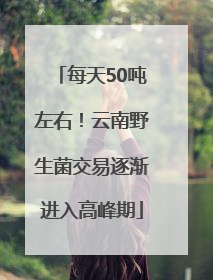 每天50吨左右！云南野生菌交易逐渐进入高峰期