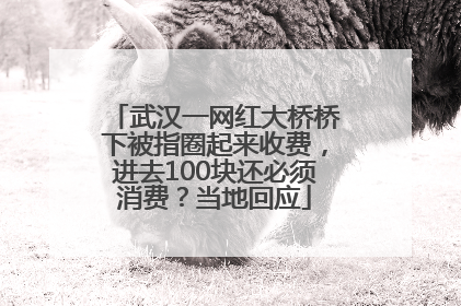 武汉一网红大桥桥下被指圈起来收费，进去100块还必须消费？当地回应