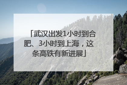武汉出发1小时到合肥、3小时到上海，这条高铁有新进展