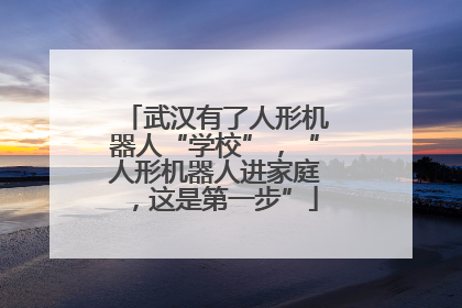 武汉有了人形机器人“学校”，“人形机器人进家庭，这是第一步”