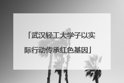 武汉轻工大学子以实际行动传承红色基因