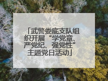 武警娄底支队组织开展“学党章、严党纪、强党性”主题党日活动