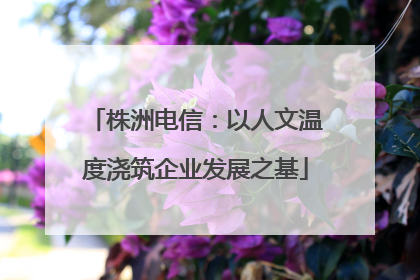 株洲电信：以人文温度浇筑企业发展之基