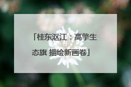桂东沤江：高擎生态旗 描绘新画卷