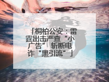 桐柏公安：雷霆出击严查“小广告” 斩断电诈“黑引流”