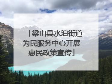 梁山县水泊街道为民服务中心开展惠民政策宣传