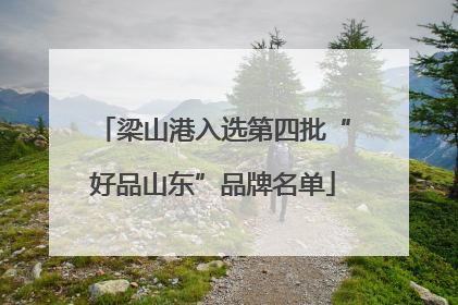 梁山港入选第四批“好品山东”品牌名单