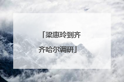 梁惠玲到齐齐哈尔调研