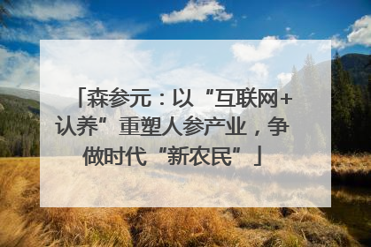 森参元：以“互联网+认养”重塑人参产业，争做时代“新农民”
