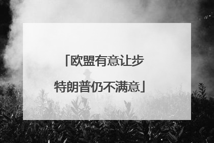 欧盟有意让步 特朗普仍不满意