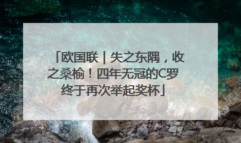 欧国联｜失之东隅，收之桑榆！四年无冠的C罗终于再次举起奖杯